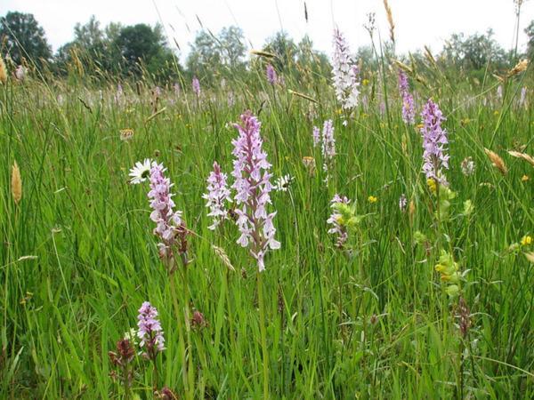 Nieuw: Kom In De Bedstee Uniek! Winterswijk Zewnętrze zdjęcie